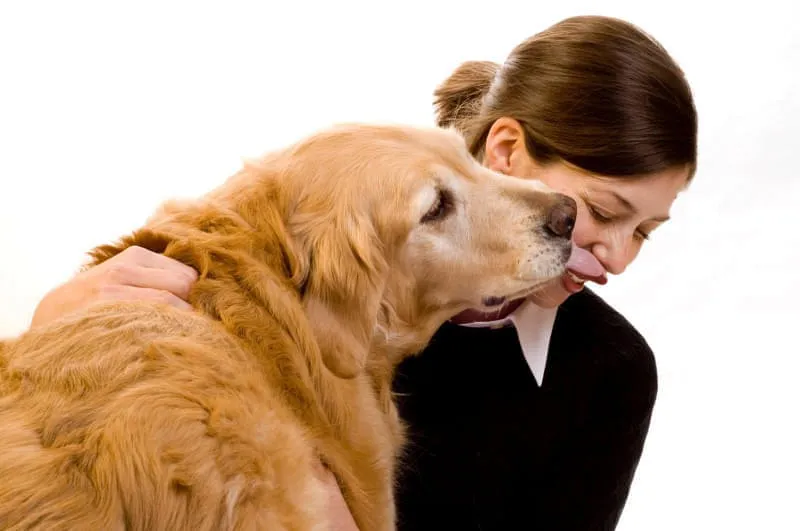 iStock-000004978951Large