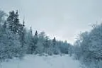 Natur pur! Bild 4