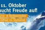 123 Bild 2